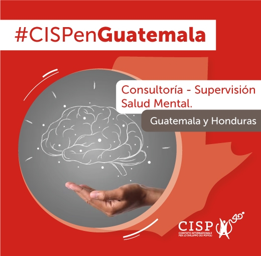 Consultoría supervisión Salud Mental