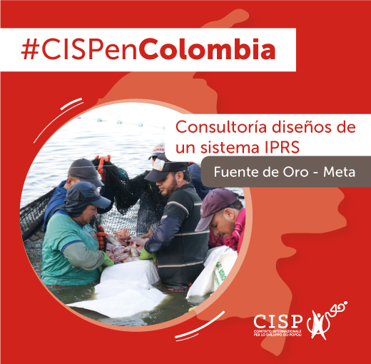 Consultoría elaboración de diseños sistema IPRS